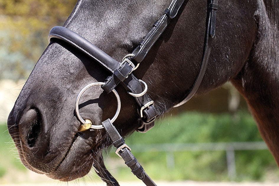 'Shape It' Noseband with bit - Barefoot Saddles Australia