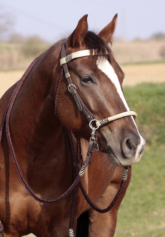 'Acorn' Bitless or Bitted Bridle With Genuine Rawhide