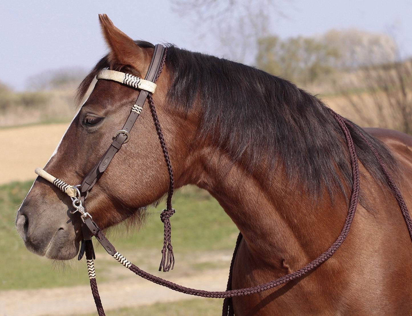 'Acorn' Bridle 2-in-1 with genuine rawhide