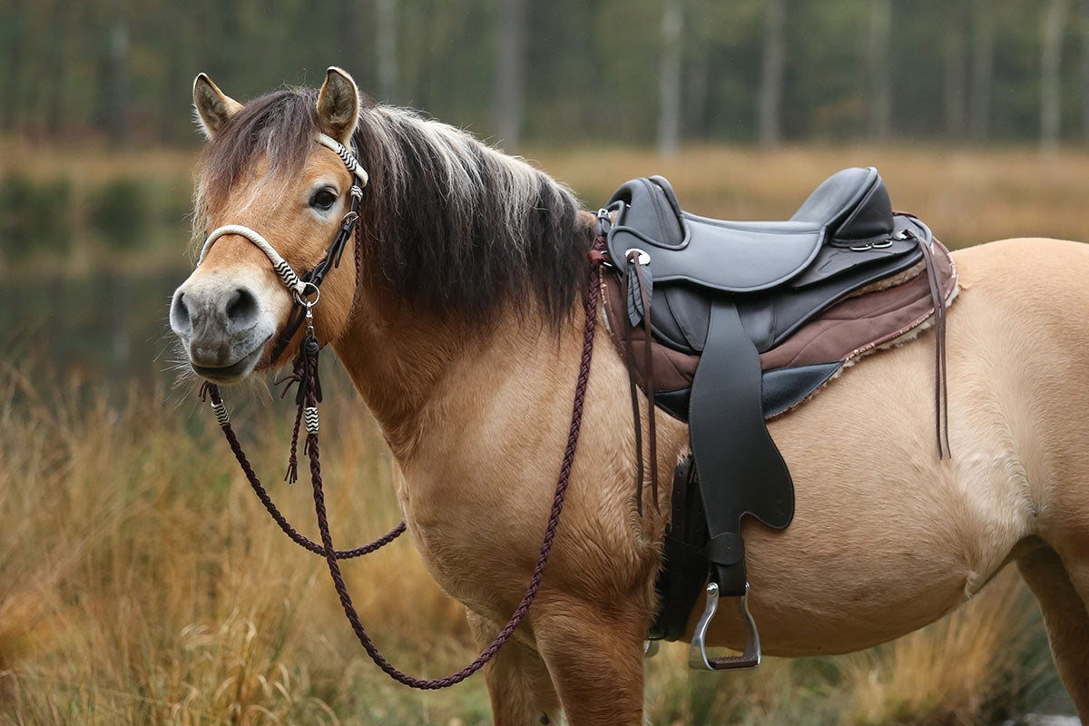 Barefoot® 'Atlanta' Saddle - Barefoot Saddles Australia