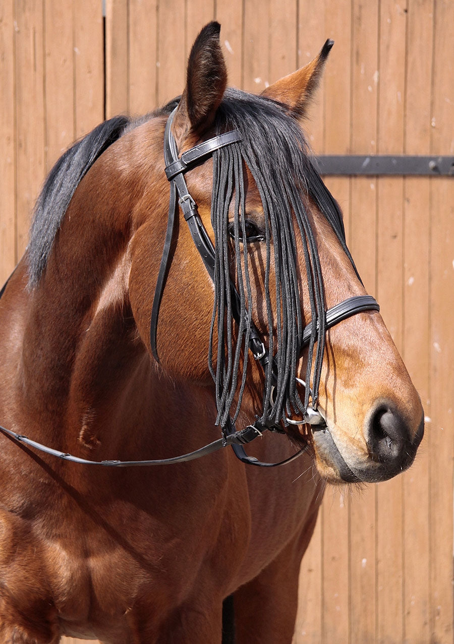 Browband Set 2-in-1 with Fly Protection