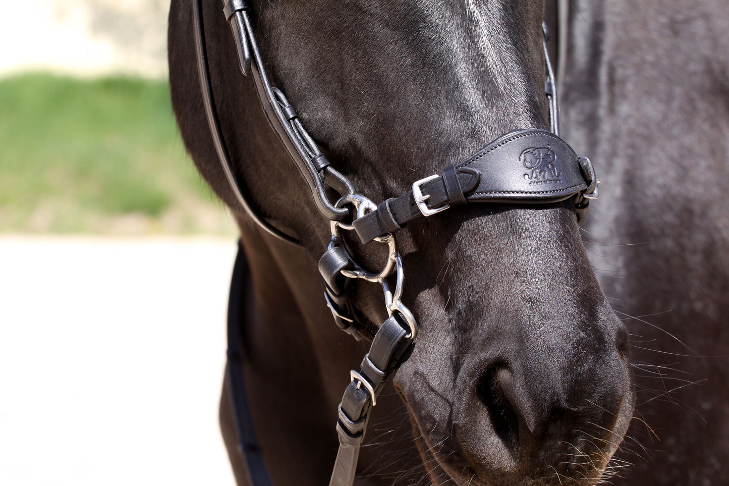 Noseband for Hackamore - Chinstrap sold separately - Barefoot Saddles Australia