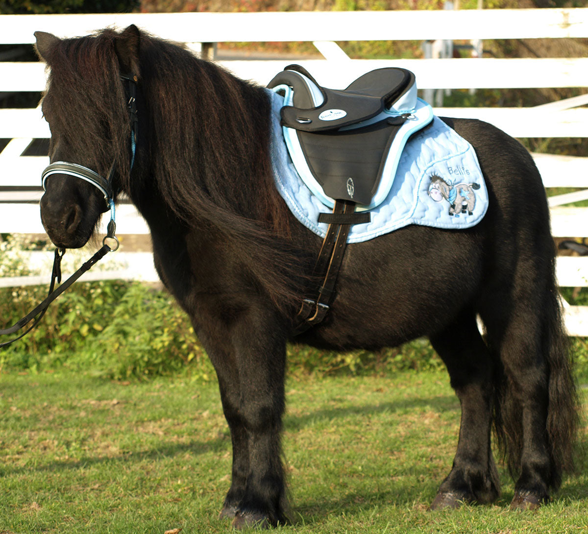 Barefoot® 'Cheyenne Bellis' Saddle