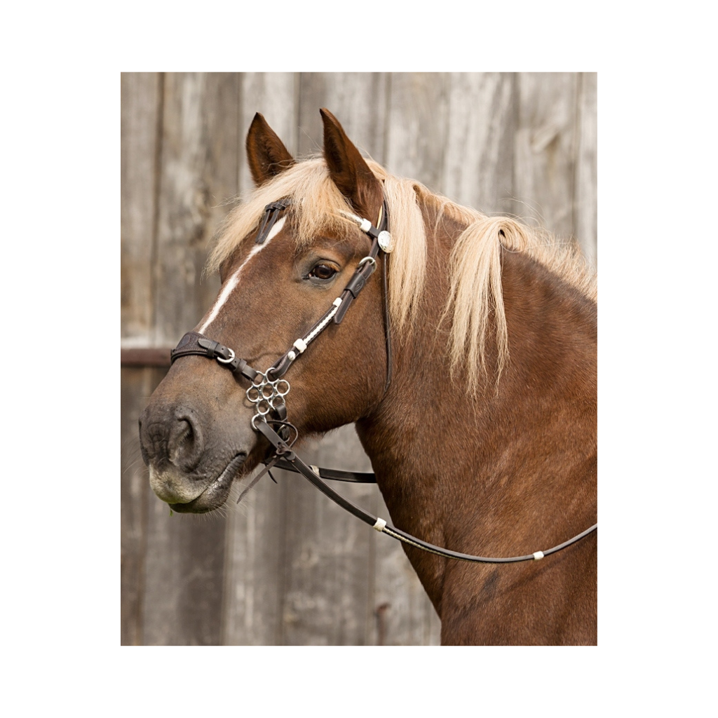 'Oaklet' bridle with hackamore - Barefoot Saddles Australia