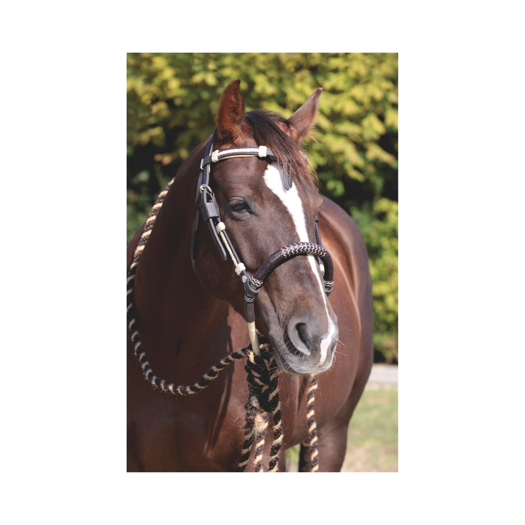 'Oaklet' bridle with bosal - Barefoot Saddles Australia