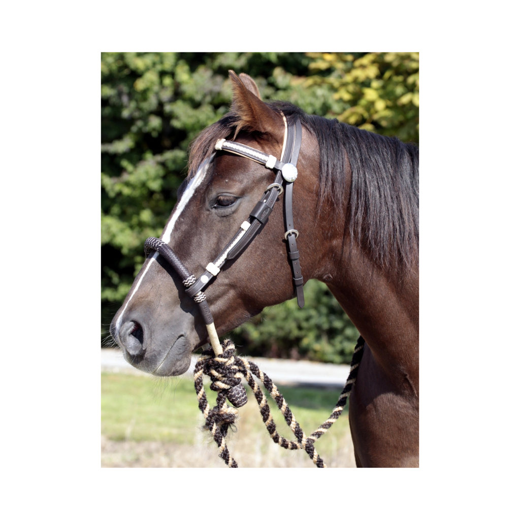 'Oaklet' bridle with bosal - Barefoot Saddles Australia