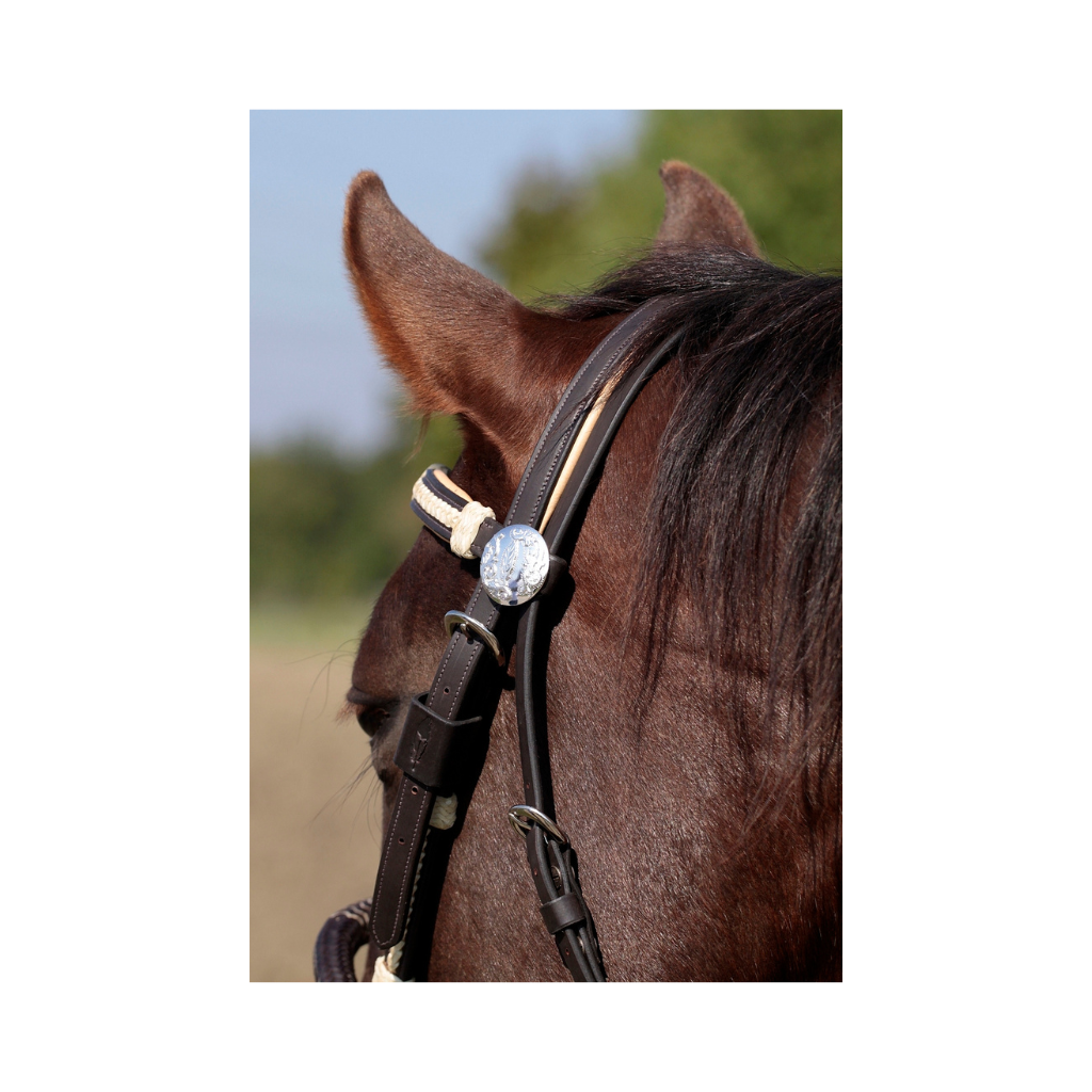 'Oaklet' bridle detail - Barefoot Saddles Australia