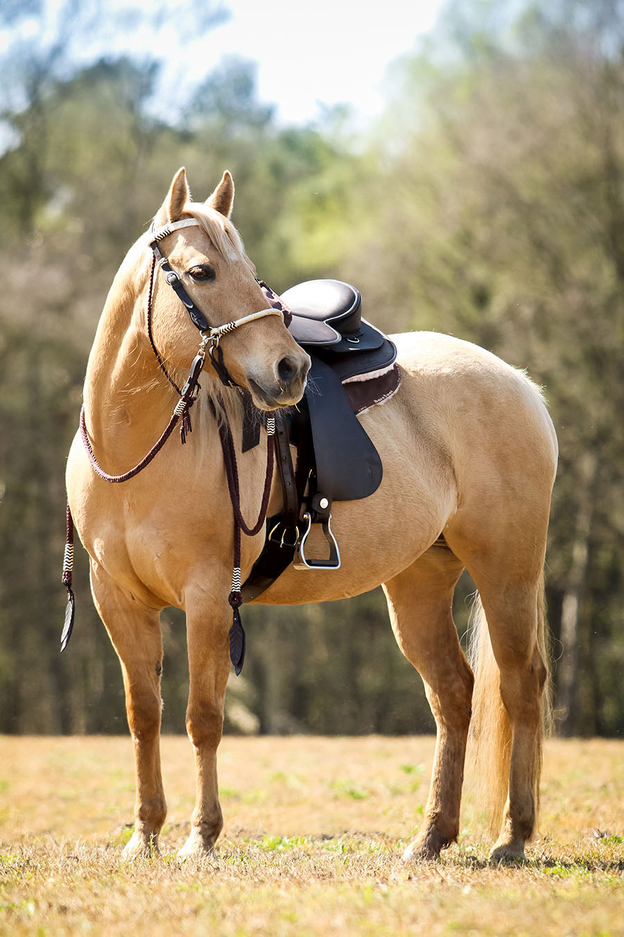 Barefoot® 'Arizona' Saddle