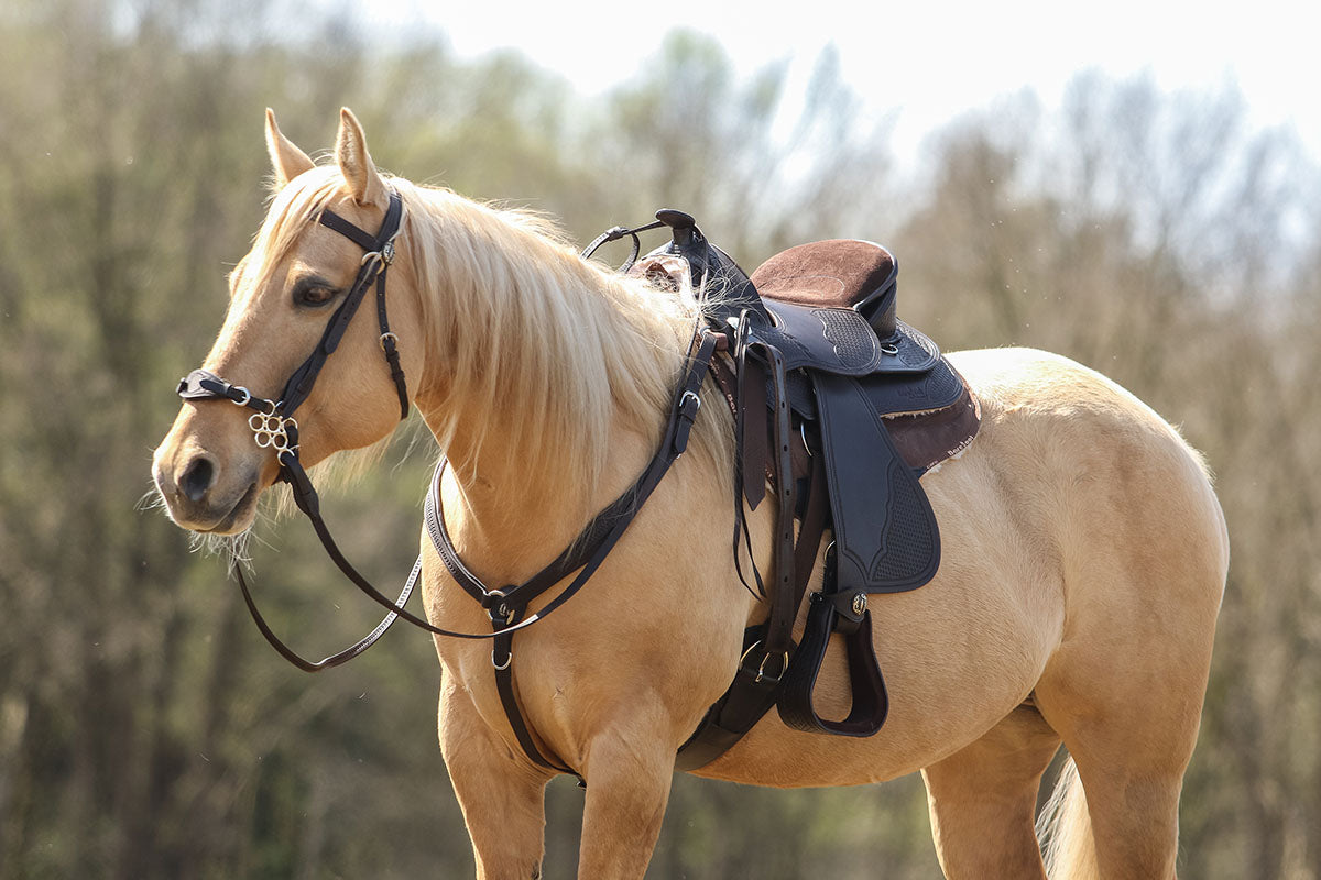 Barefoot® 'Arizona Nut' Saddle