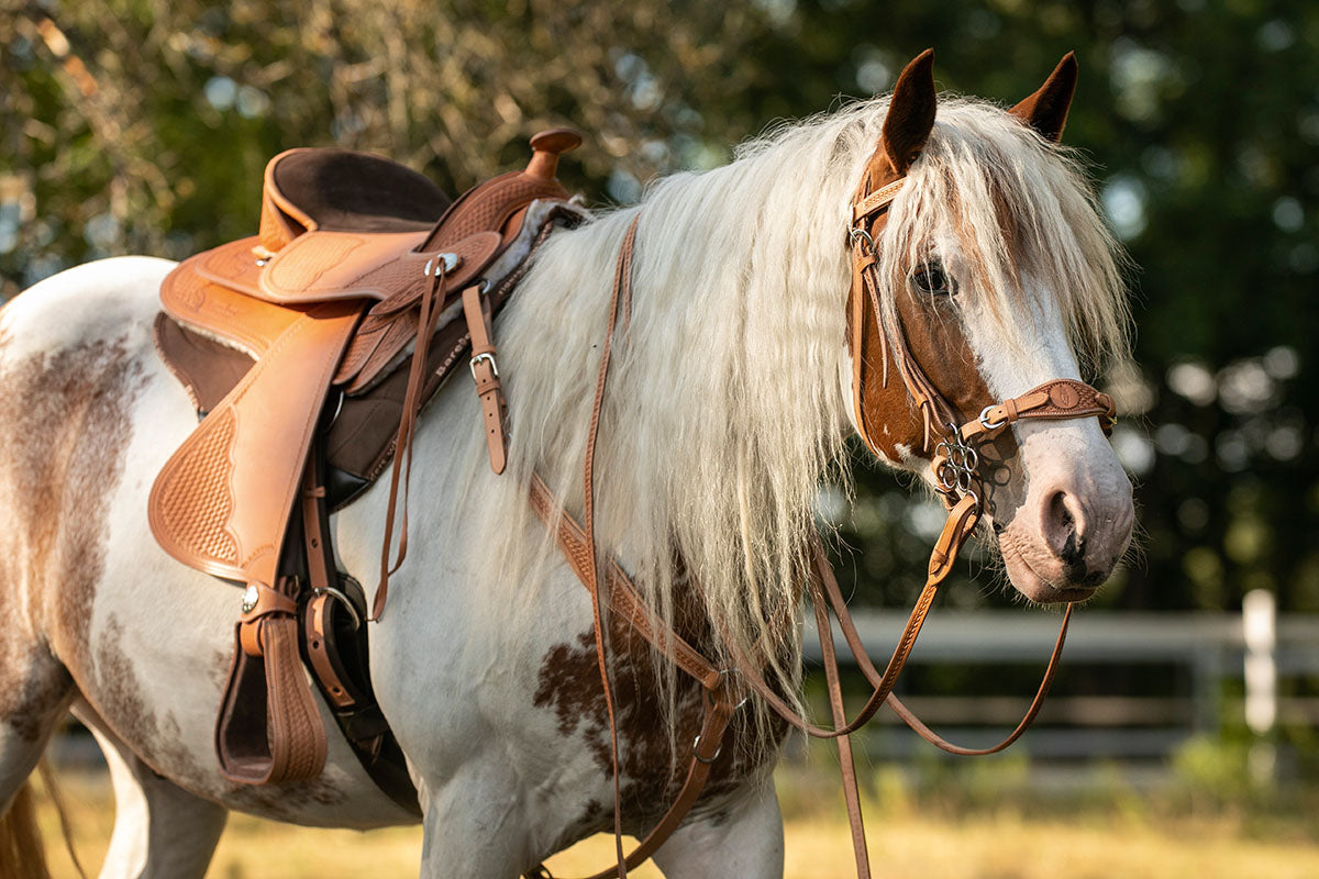 Barefoot® 'Arizona Rose' Saddle - Barefoot Saddles Australia