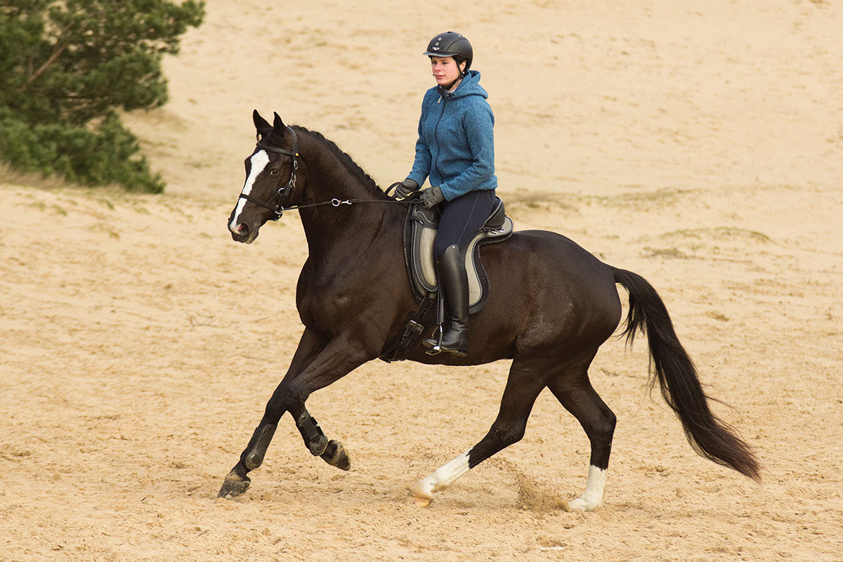 Barefoot 'Barrydale' Saddle