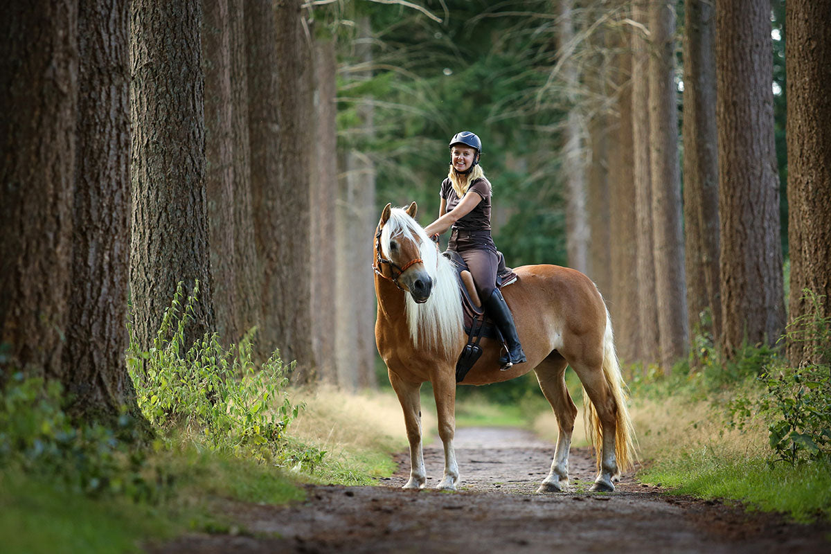 Barefoot 'Barrydale' Saddle