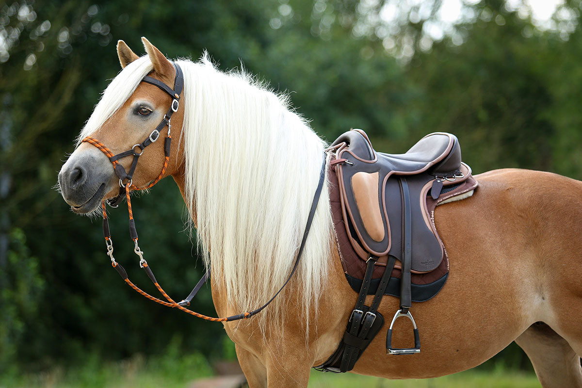 Barefoot 'Barrydale' Saddle