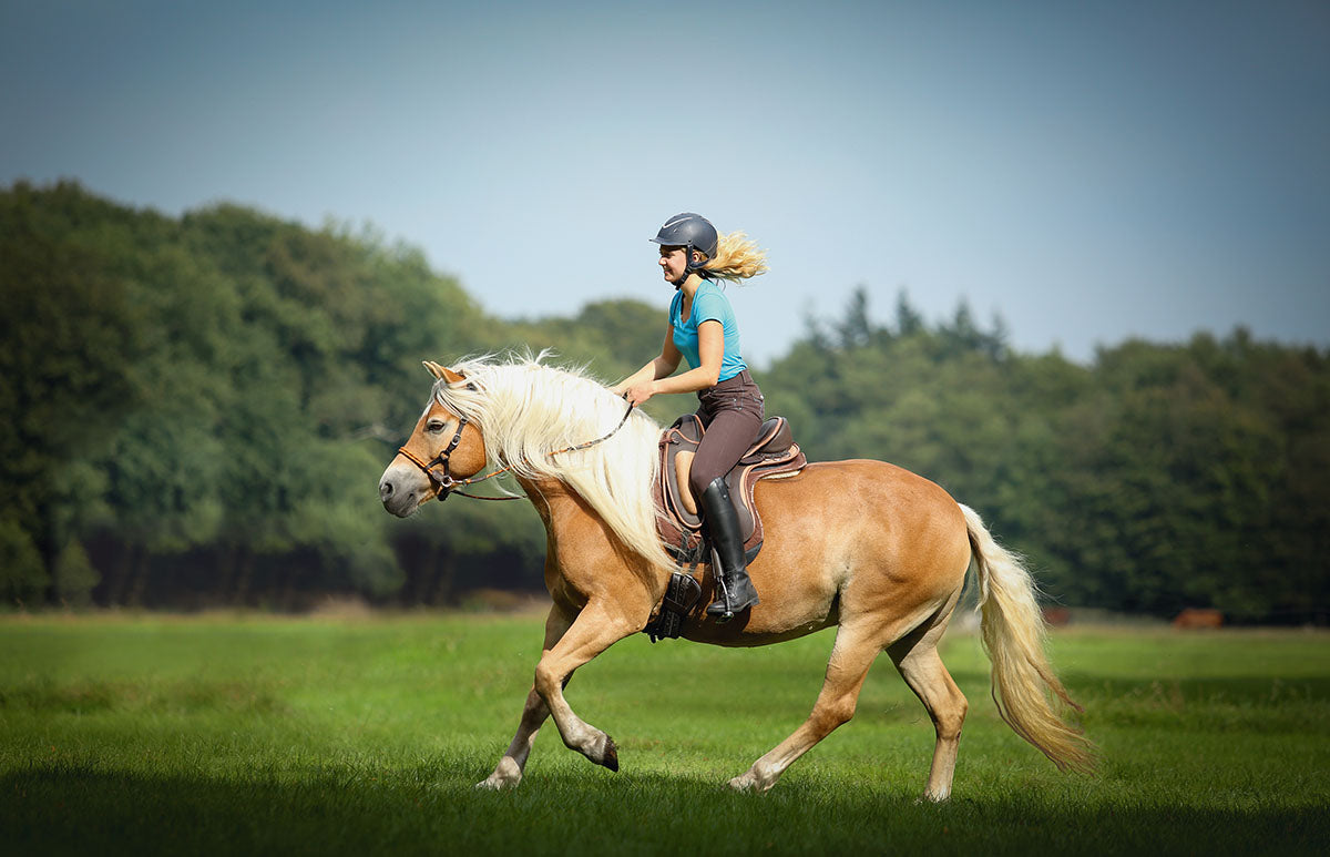 Barefoot 'Barrydale' Saddle