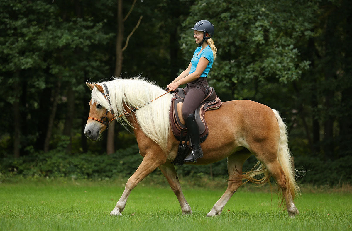 Barefoot 'Barrydale' Saddle