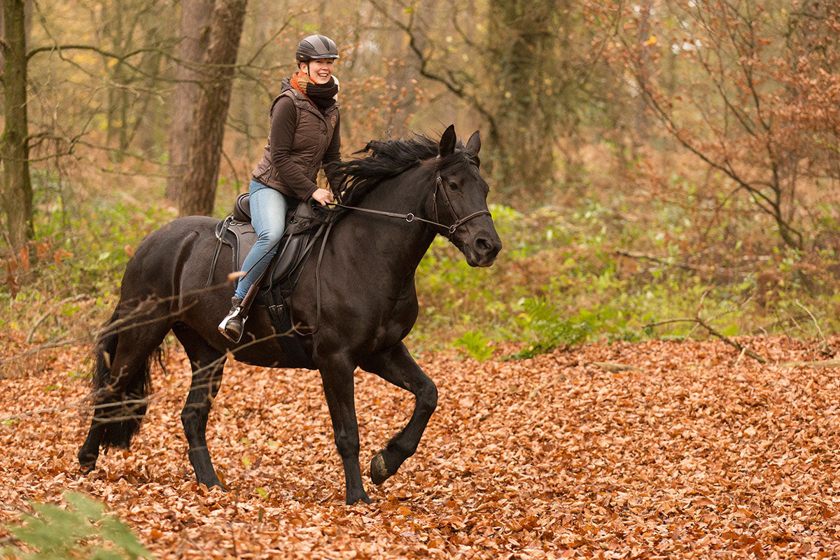 Barefoot® Cherokee Saddle