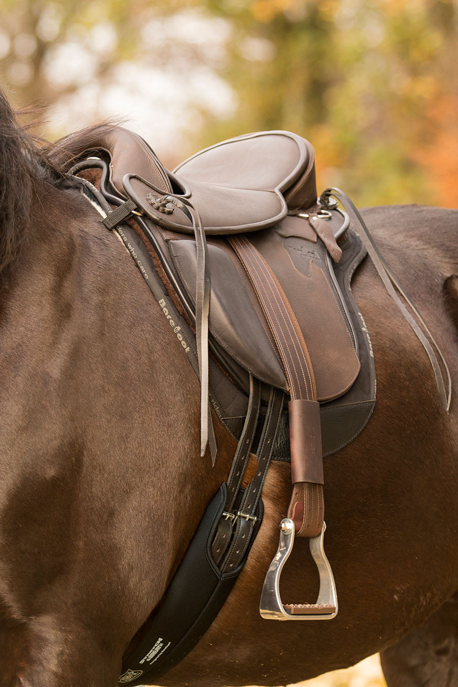 Barefoot® Cherokee Saddle