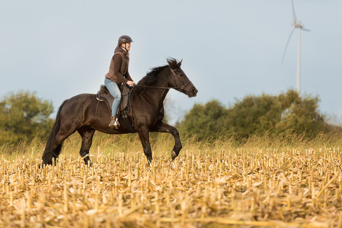 Barefoot® Cherokee Saddle