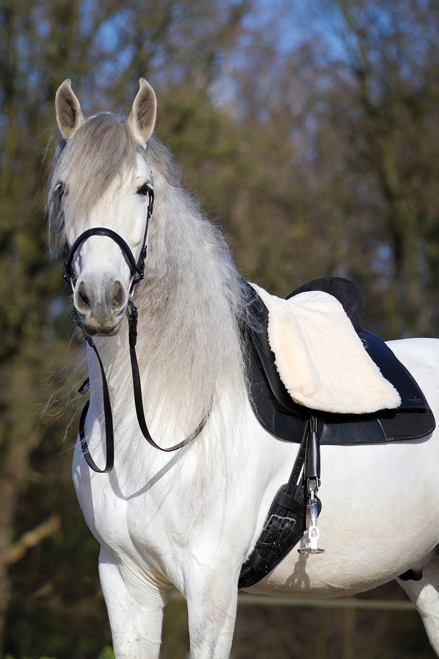 Replacement Sheepskin Saddle Seats