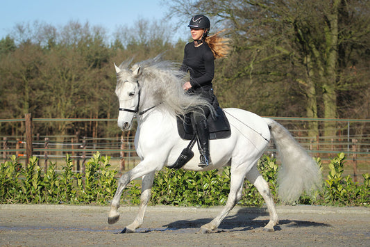 Barefoot Saddle Madrid - Barefoot Saddles Australia