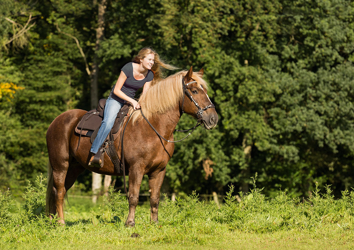 Barefoot® 'Nevada' Saddle