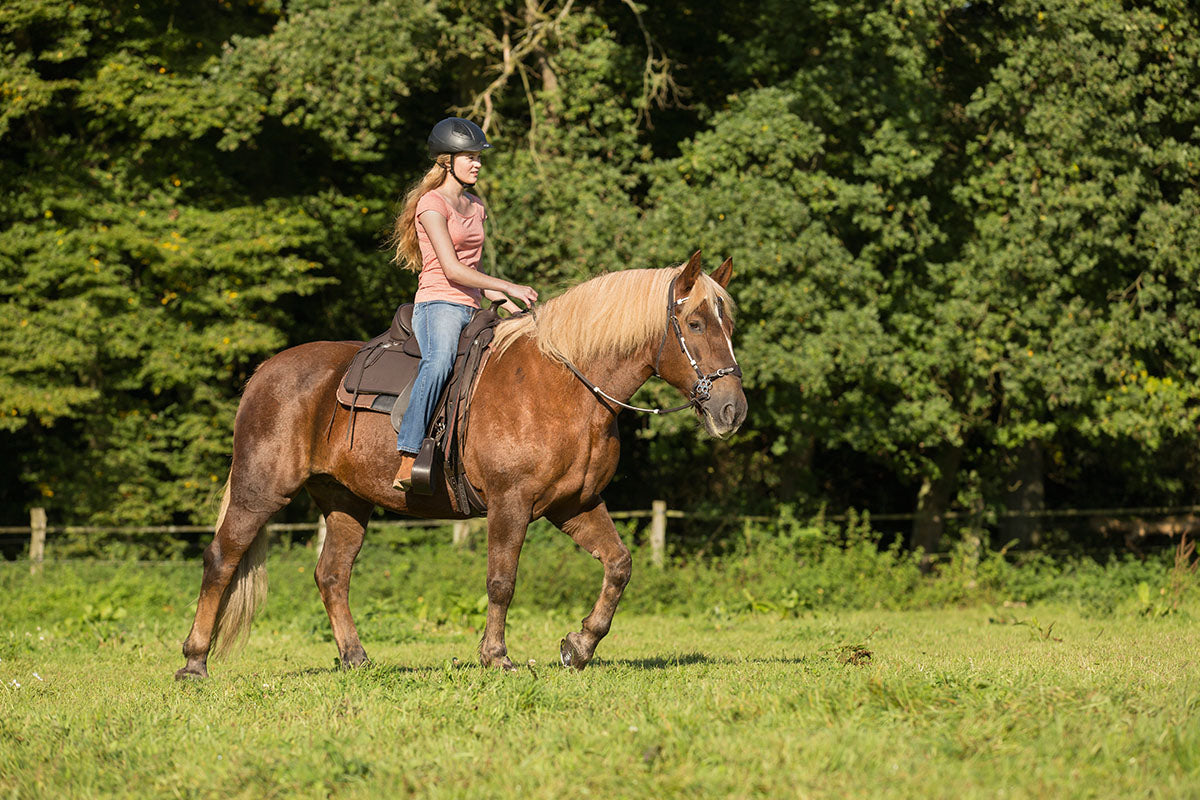 Barefoot® 'Nevada' Saddle