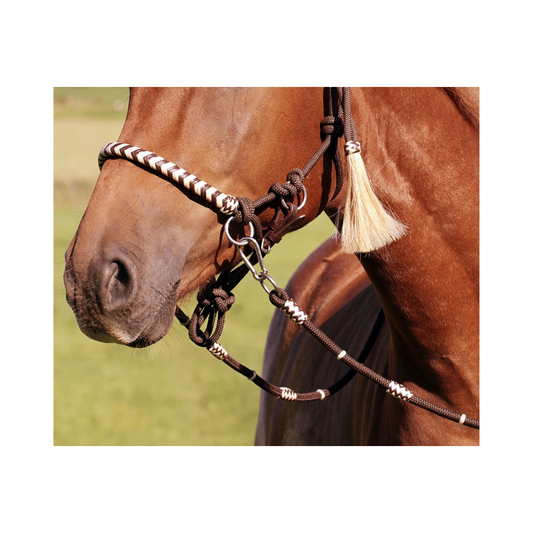 'Seneca' bridle and reins - Barefoot Saddles Australia