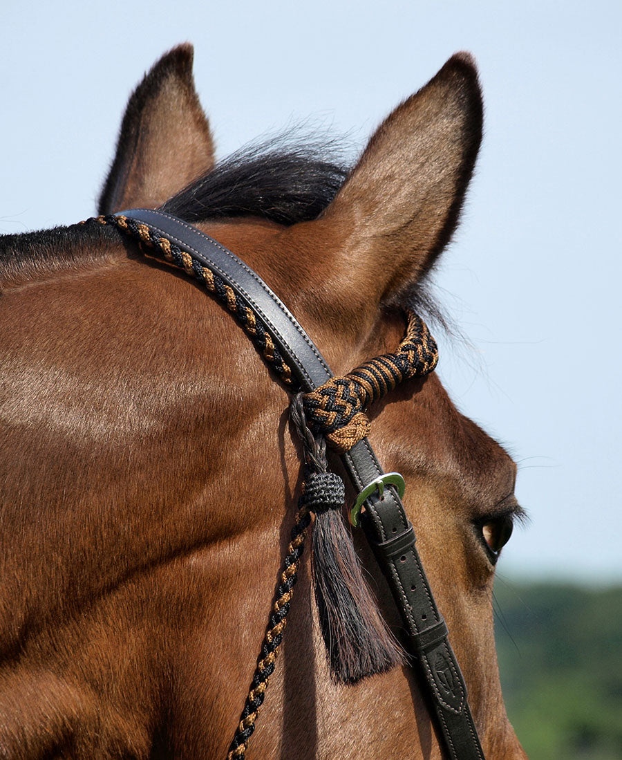 'Amber' Bridle 2-in-1