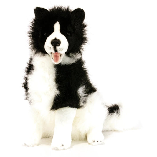 Tommy - Border Collie Plush Toy 