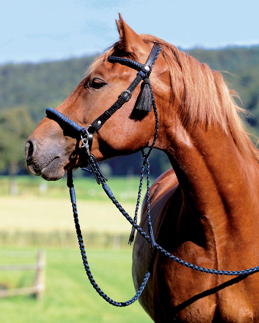 'Amber' Bitless or Bitted Bridle